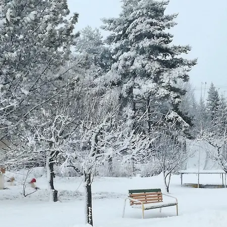 Pri Kolibe * Tatranska Strba