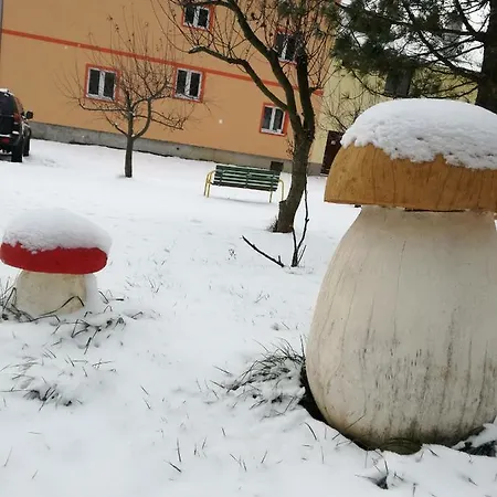 Pensjonat Pri Kolibe